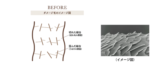 毛髪補修反応イメージ図